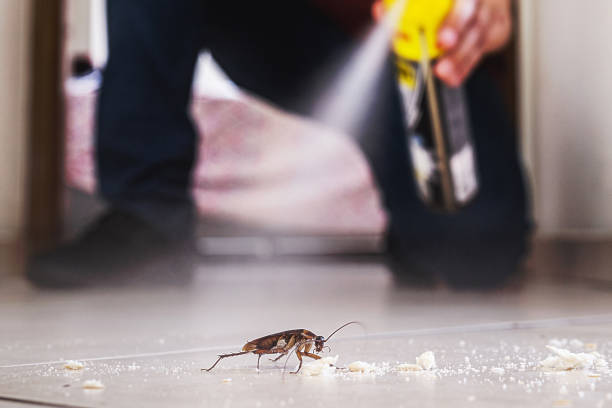 Best Pest Removal Services  in Pennsburg, PA