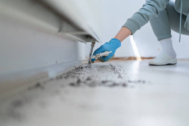 Best Flea Control Services  in Pennsburg, PA